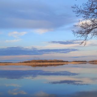 Акварель природы