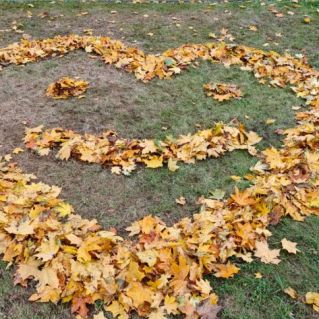 Осень золотая