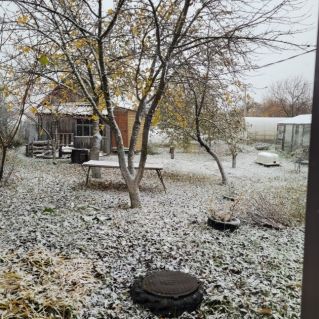 "Первый снег"