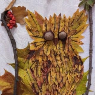 "Забавный совенок"