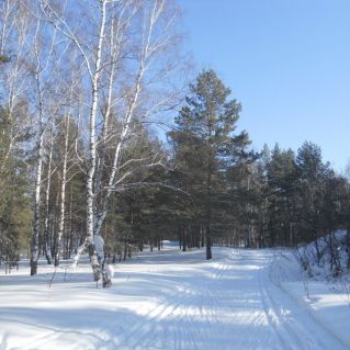 Авторское фото "Лыжня Сибири""