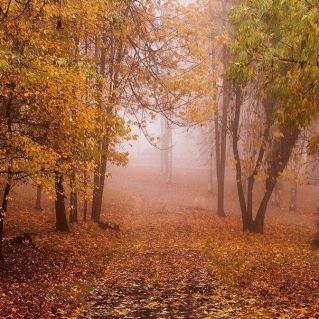 «Атмосфера осени»