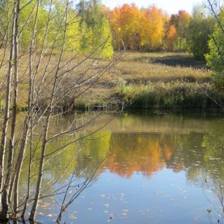 "Души моей заветный уголок"