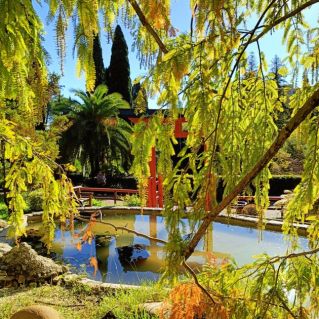 Осень в парке