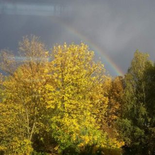 Осенняя радуга