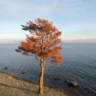 "Уж небо осенью дышало..."