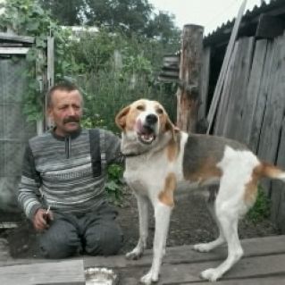 Папулин праздник