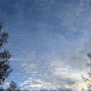 Уж небо осенью дышало…