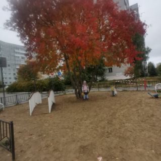 Осенний пейзаж