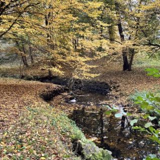 Осенний парк