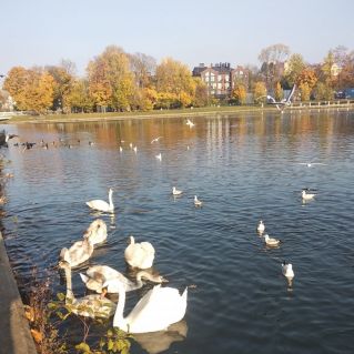 "Осень Золотая"