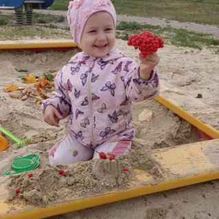 Костры рябин