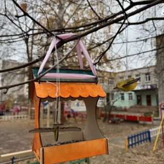 С заботой о птицах