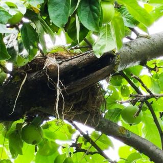 Остановись, мгновение!