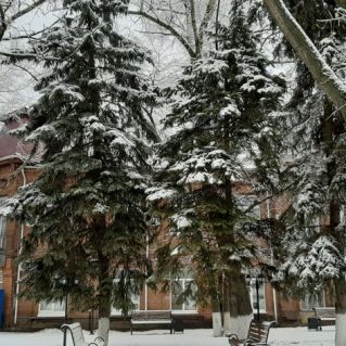 "После снегопада"