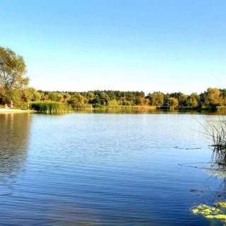 "Осень в гости к нам пришла"