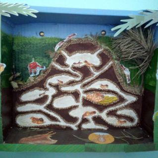 макет "Муравейник"