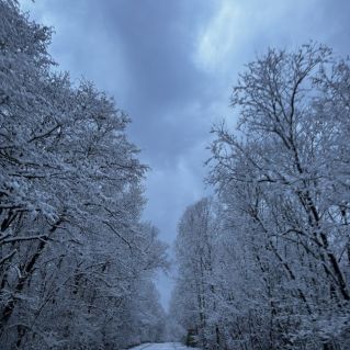 Дорога в зимнюю сказку