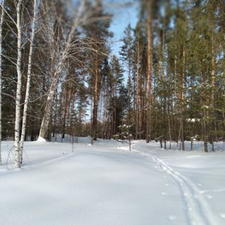 " Красоты малой родины"