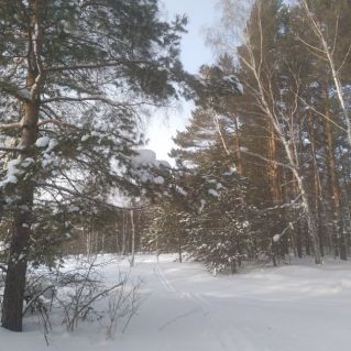 " Зимушка, красавица!"