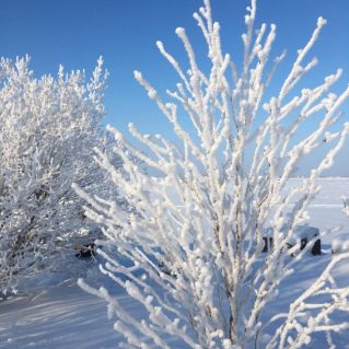 Зимний пейзаж