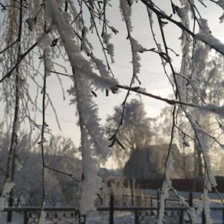 "Мороз снежком укутывал: "Смотри,  не замерзай!"