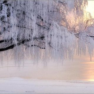 "Волшебное чудо"