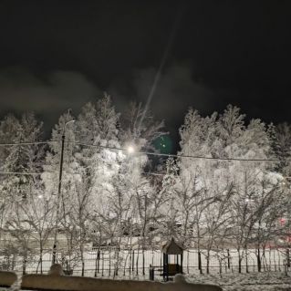 Предрассветное утро