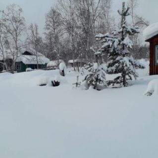 "Природа во власти зимы! "