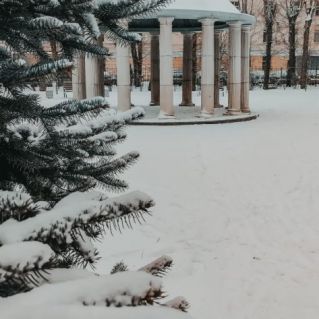 Тишина зимнего утра