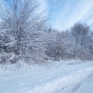 Снежный февраль