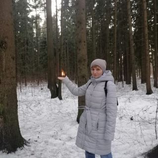 Заход солнца в лесу.