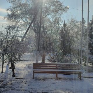 Зимнее настроение