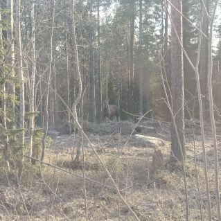 Весна-красна