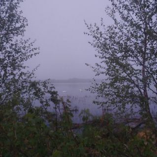 Весенее настроение