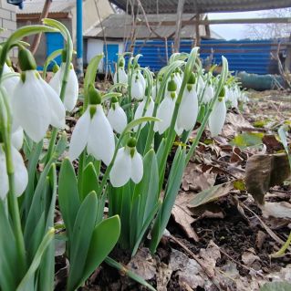 Весна пришла