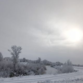 "Зимнее утро"