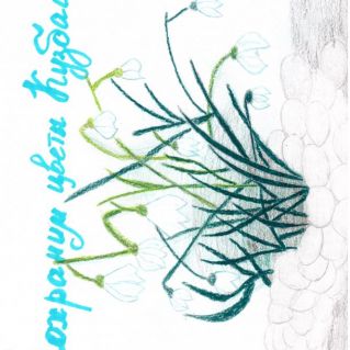 Сохраним цветы Кузбасса!