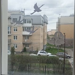 Окна победы. Спасибо за мир!