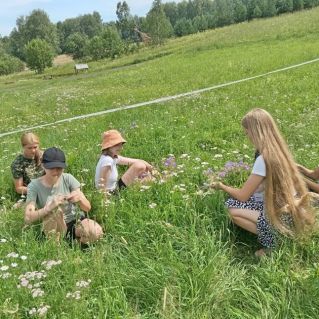 Летний венок