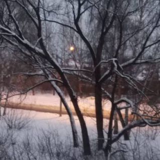 "Зимние огни"
