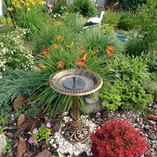 "Яркие краски лета"