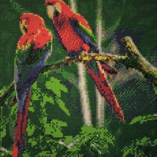 "Радужные друзья"