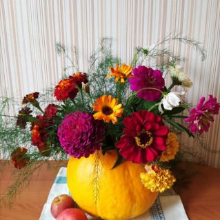 "Летняя радость"