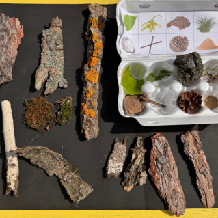 Экологическая игра «Искатели природных сокровищ»