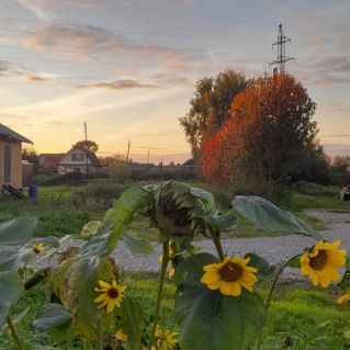 Осенний тёплый вечер