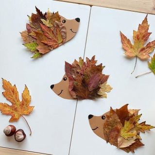 Ежи в осеннем лесу