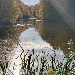 Дыхание осени