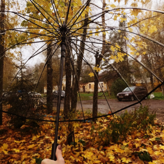 «У природы нет плохой погоды»