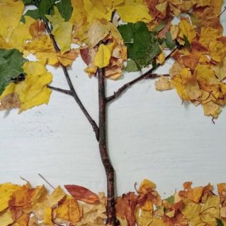 "Золотая осень"